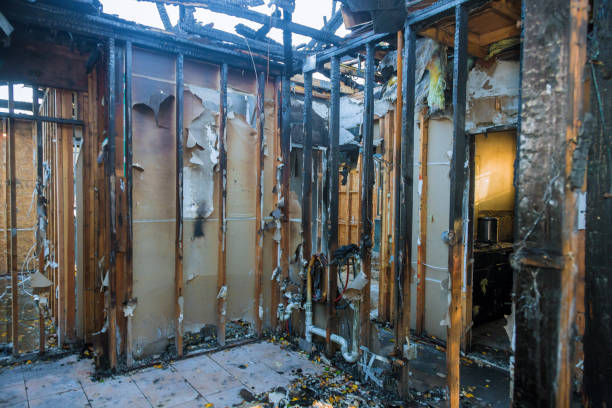 Professional Odor Removal technician working in Riegelsville, PA