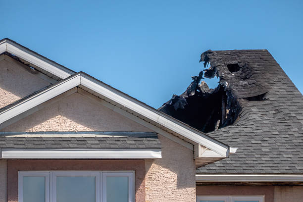 Top rated local Odor Removal specialists in Riegelsville, PA